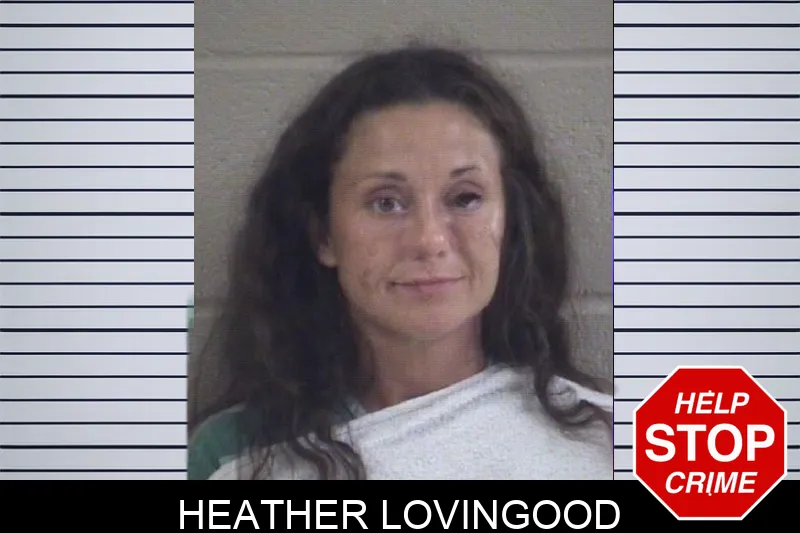 Heather Lovingood mugshot – Whitfield County , Georgia Heather Lovingood mugshot