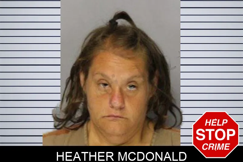 Heather McDonald mugshot