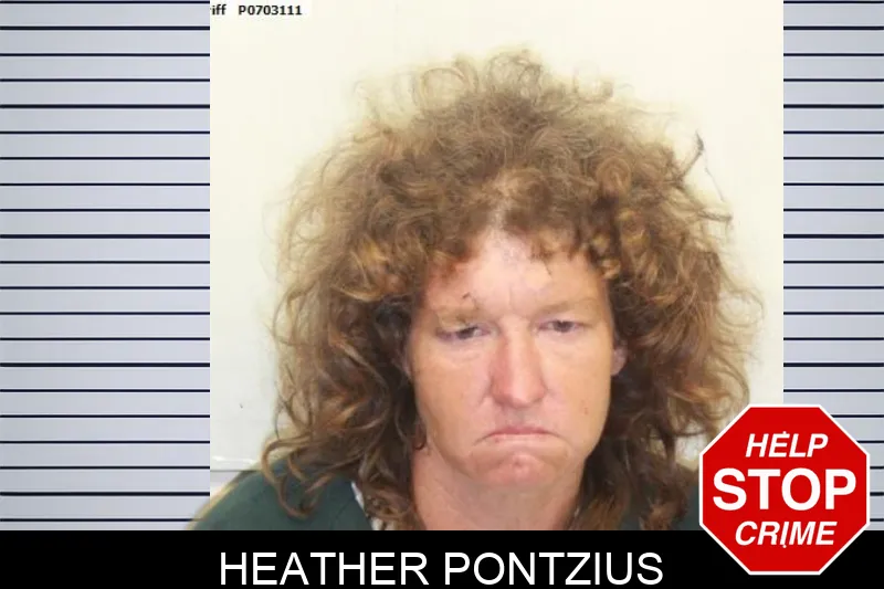Heather Pontzius mugshot – Chatham County , Georgia Heather Pontzius mugshot