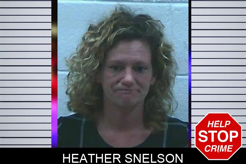 Heather Snelson mugshot