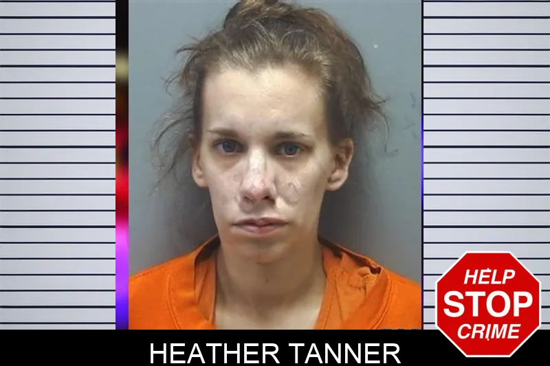Heather Tanner mugshot – Cherokee County , Georgia Heather Tanner mugshot