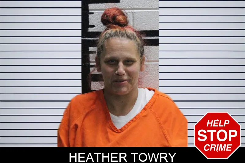Heather Towry mugshot