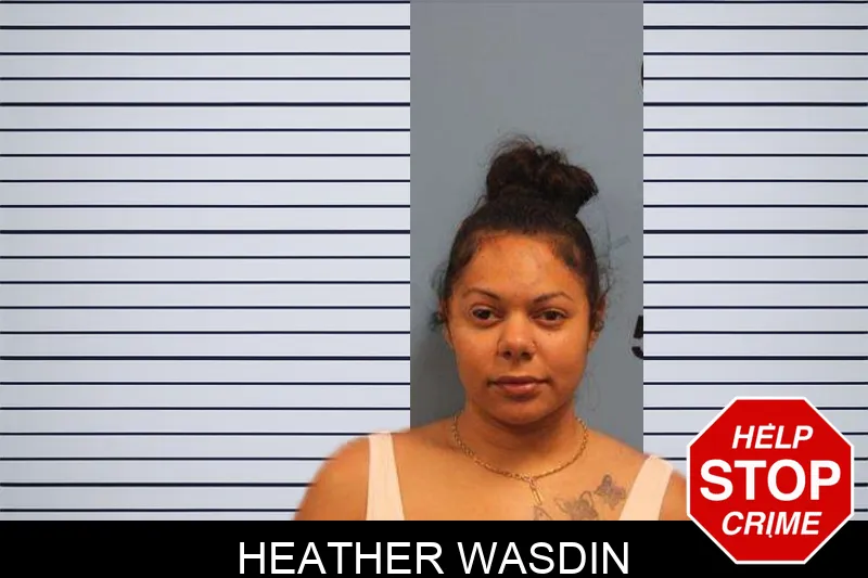 Heather Wasdin mugshot