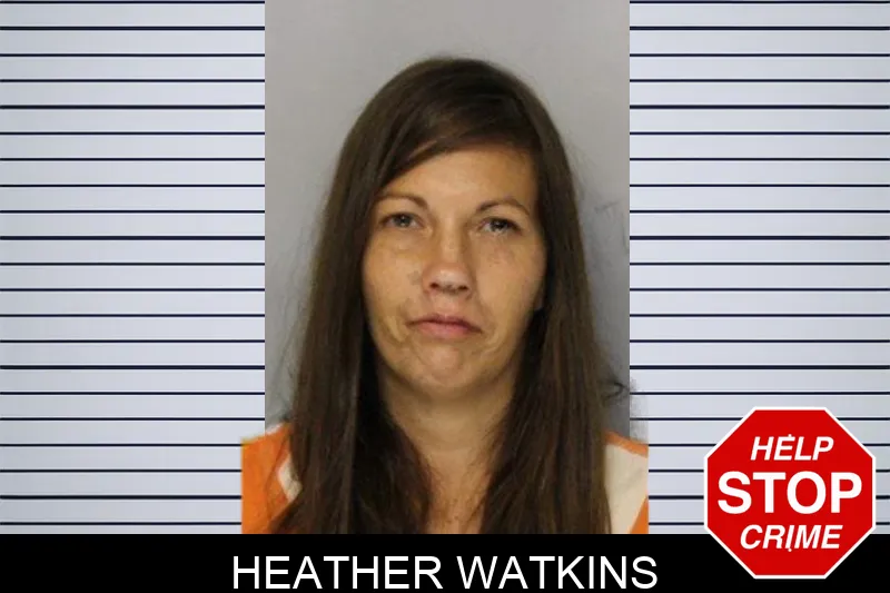 Heather Watkins mugshot