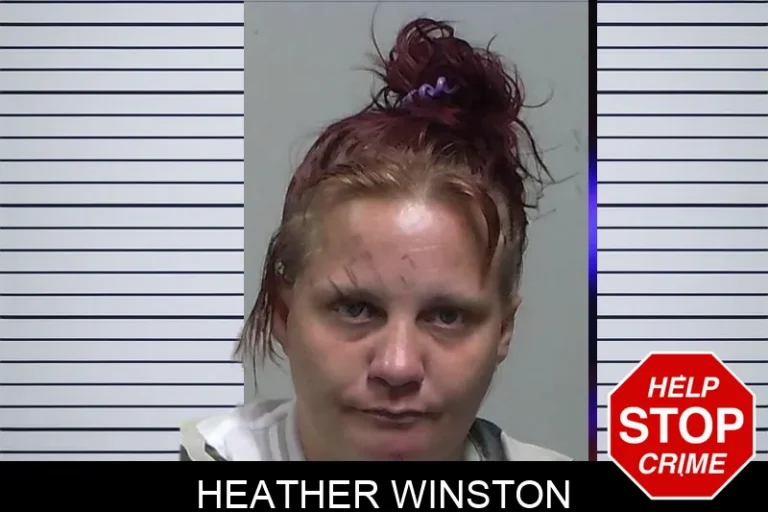 Heather Winston mugshot – Tift County , Georgia Heather Winston