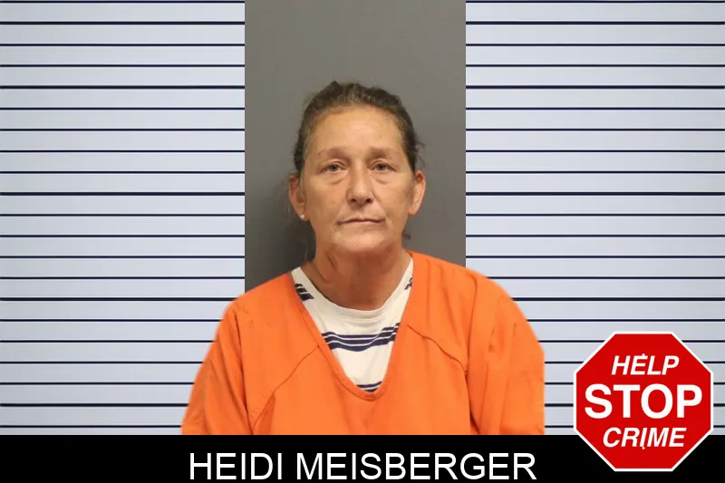 Heidi Meisberger mugshot
