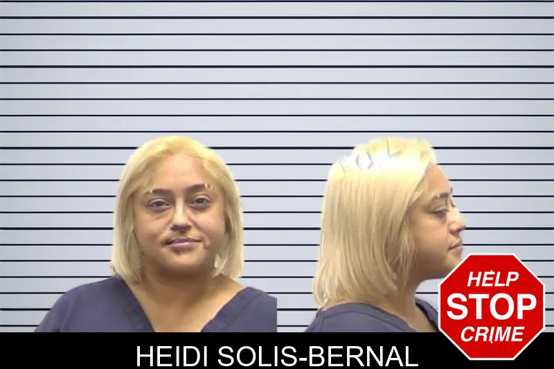 Heidi Solis-Bernal mugshot