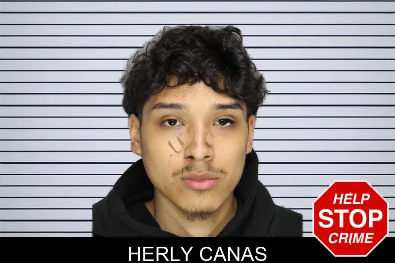 Herly Canas mugshot