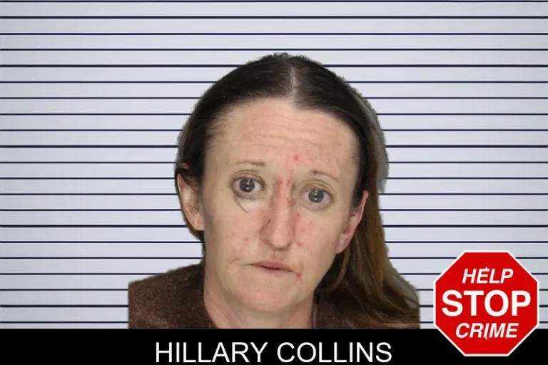 Hillary Collins