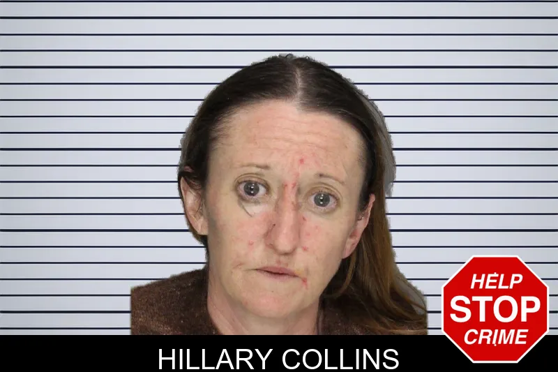 Hillary Collins mugshot