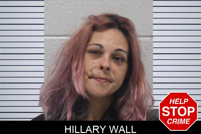 Hillary Wall mugshot