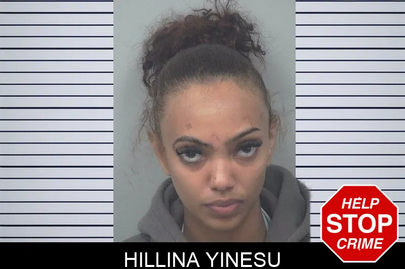 Hillina Yinesu mugshot – Gwinnett County , Georgia Hillina Yinesu mugshot