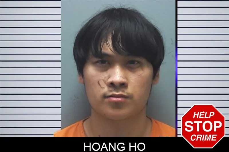 Hoang Ho mugshot