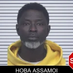 Hoba Assamoi mugshot – Gwinnett County , Georgia Hoba Assamoi mugshot