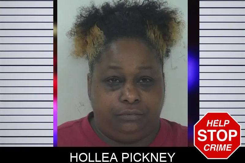 Hollea Pickney mugshot