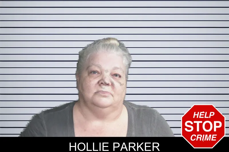 Hollie Parker mugshot
