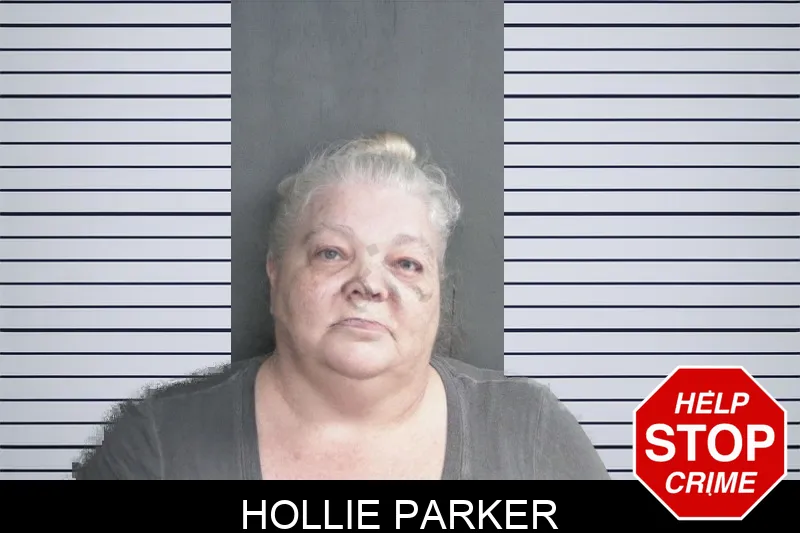 Hollie Parker mugshot