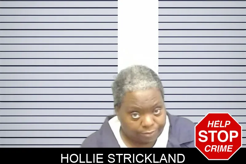 Hollie Strickland mugshot