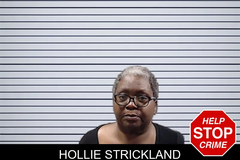 Hollie Strickland mugshot