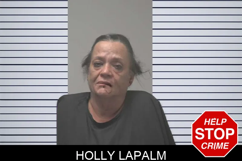 Holly Lapalm mugshot