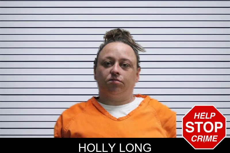 Holly Long mugshot
