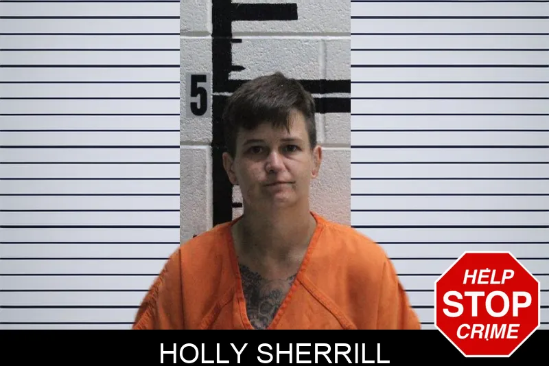 Holly Sherrill mugshot – Murray County , Georgia Holly Sherrill mugshot