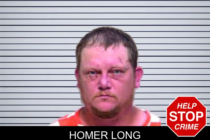 Homer Long mugshot