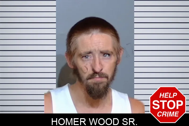 Homer Wood Sr. mugshot