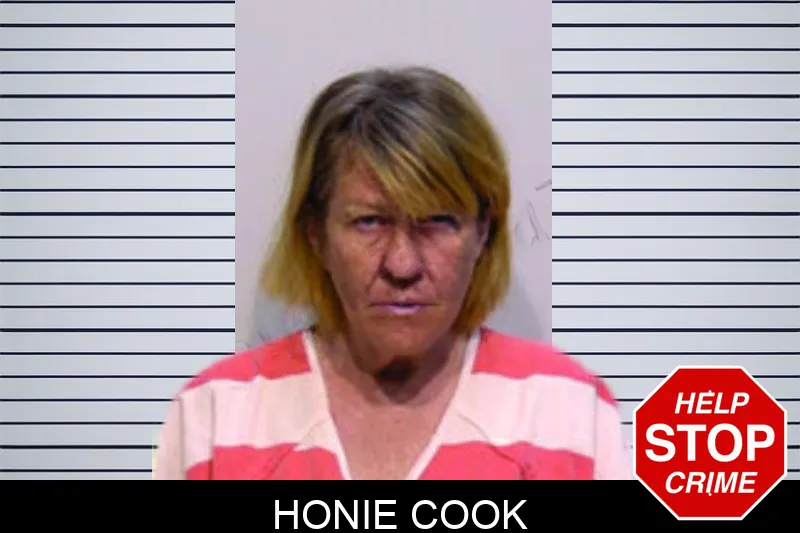 Honie Cook mugshot
