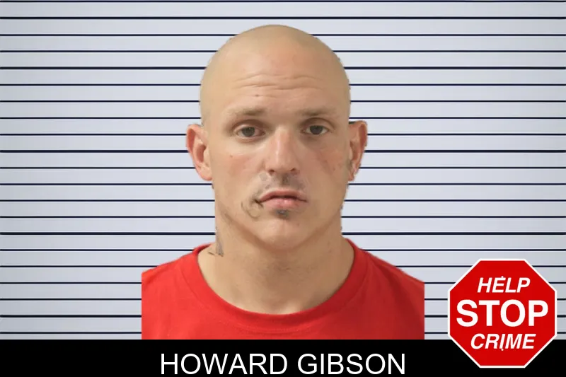 Howard Gibson mugshot