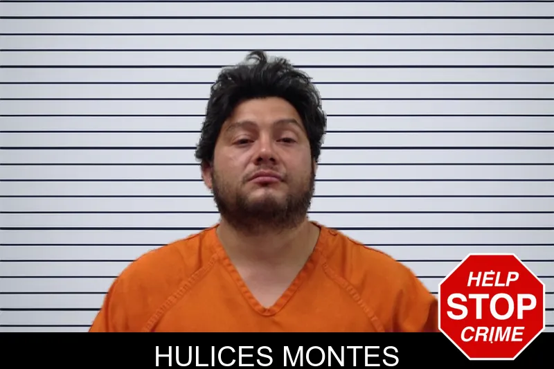 Hulices Montes mugshot