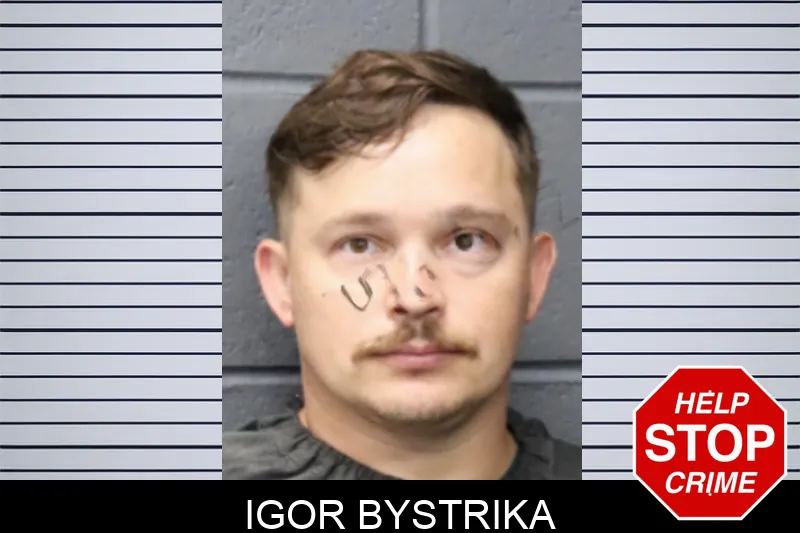 Igor Bystrika mugshot – Forsyth County , Georgia Igor Bystrika mugshot