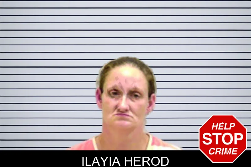 Ilayia Herod mugshot – Bartow County , Georgia Ilayia Herod mugshot