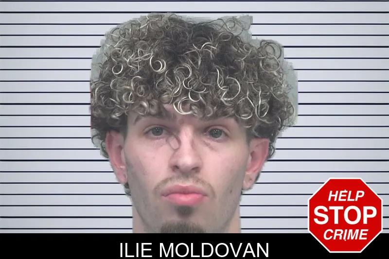 Ilie Moldovan mugshot