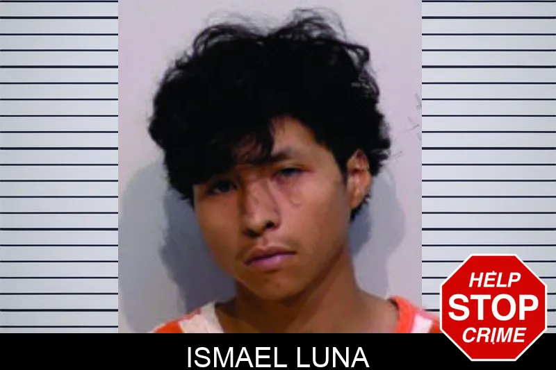 Ismael Luna mugshot