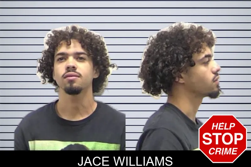 Jace Williams mugshot