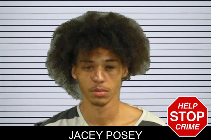 Jacey Posey mugshot
