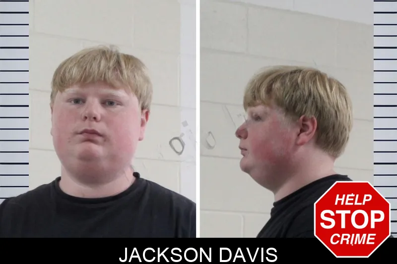 Jackson Davis mugshot – Houston County , Georgia Jackson Davis mugshot