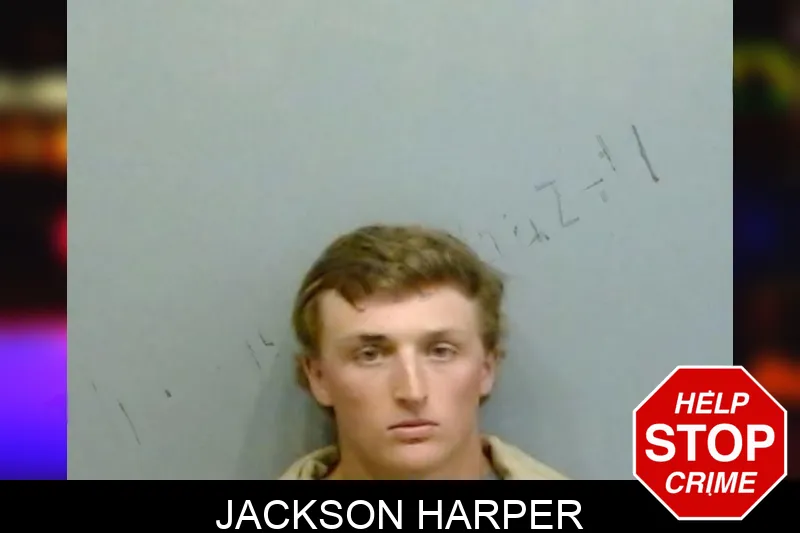 Jackson Harper mugshot