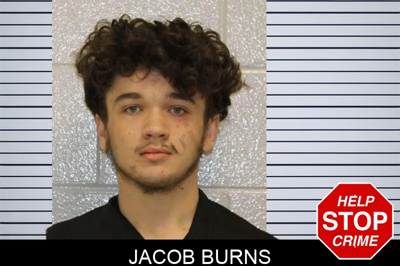 Jacob Burns mugshot