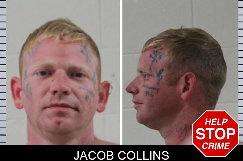 Jacob Collins mugshot