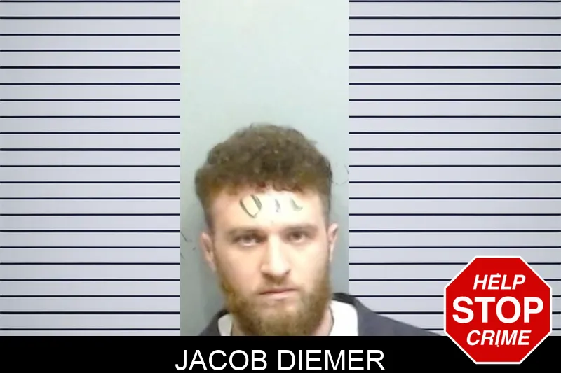 Jacob Diemer mugshot – Fulton County , Georgia Jacob Diemer mugshot