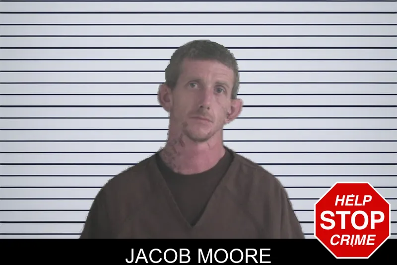 Jacob Moore mugshot – Brantley County , Georgia Jacob Moore mugshot