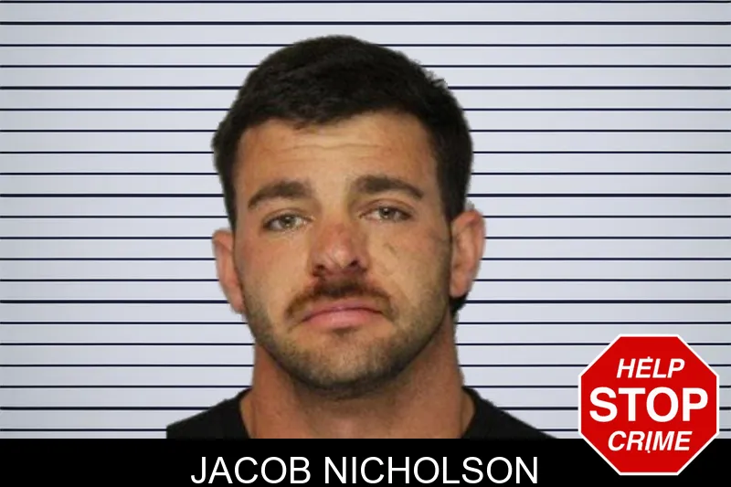 Jacob Nicholson mugshot – Hall County , Georgia Jacob Nicholson mugshot