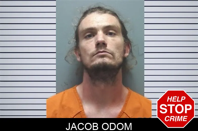 Jacob Odom mugshot