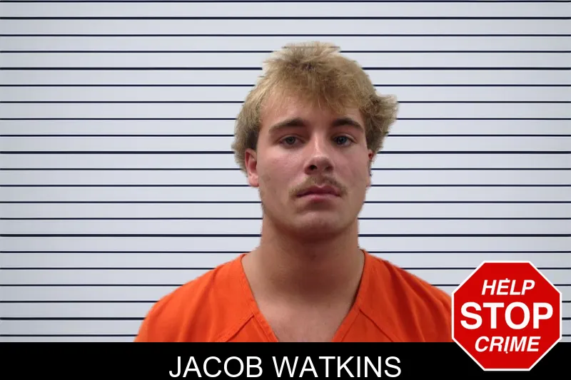Jacob Watkins mugshot – Pickens County , Georgia Jacob Watkins mugshot
