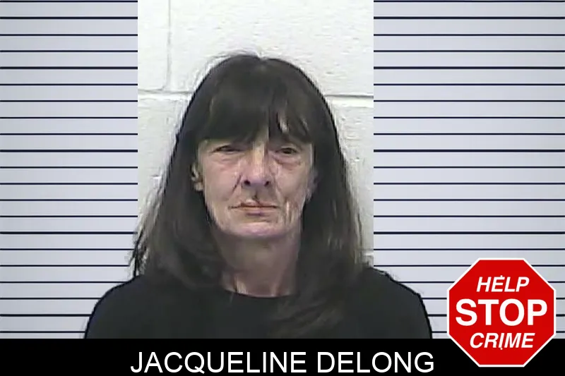 Jacqueline Delong mugshot – Dawson County , Georgia Jacqueline Delong mugshot
