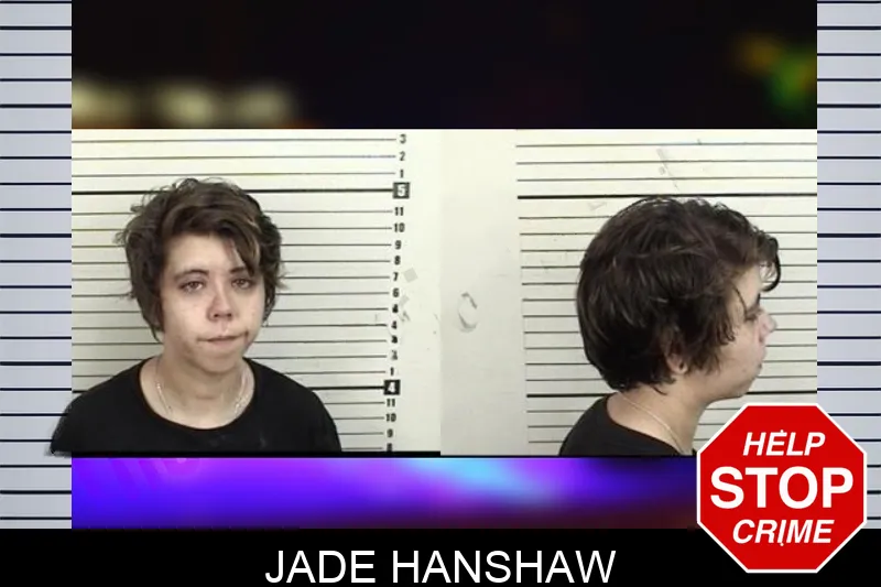 Jade Hanshaw mugshot