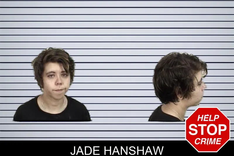 Jade Hanshaw mugshot