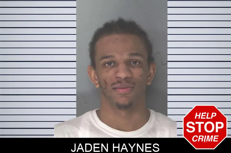 Jaden Haynes mugshot